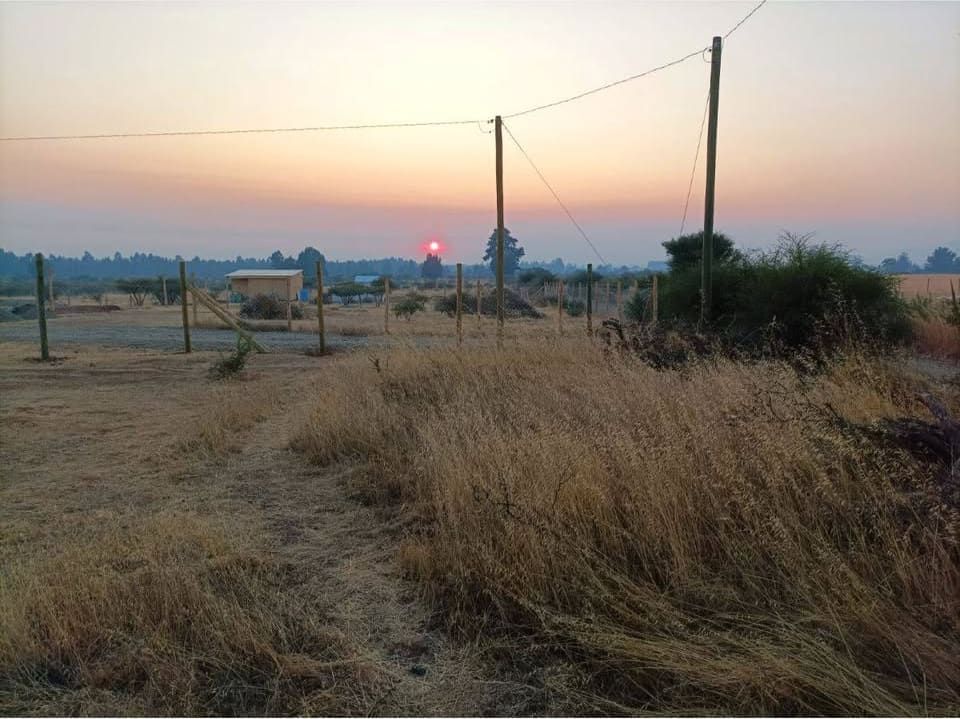 Atardecer rosado en el campo