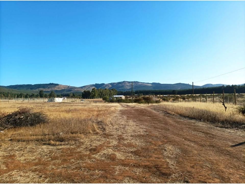 Camino rural con vista a los cerros