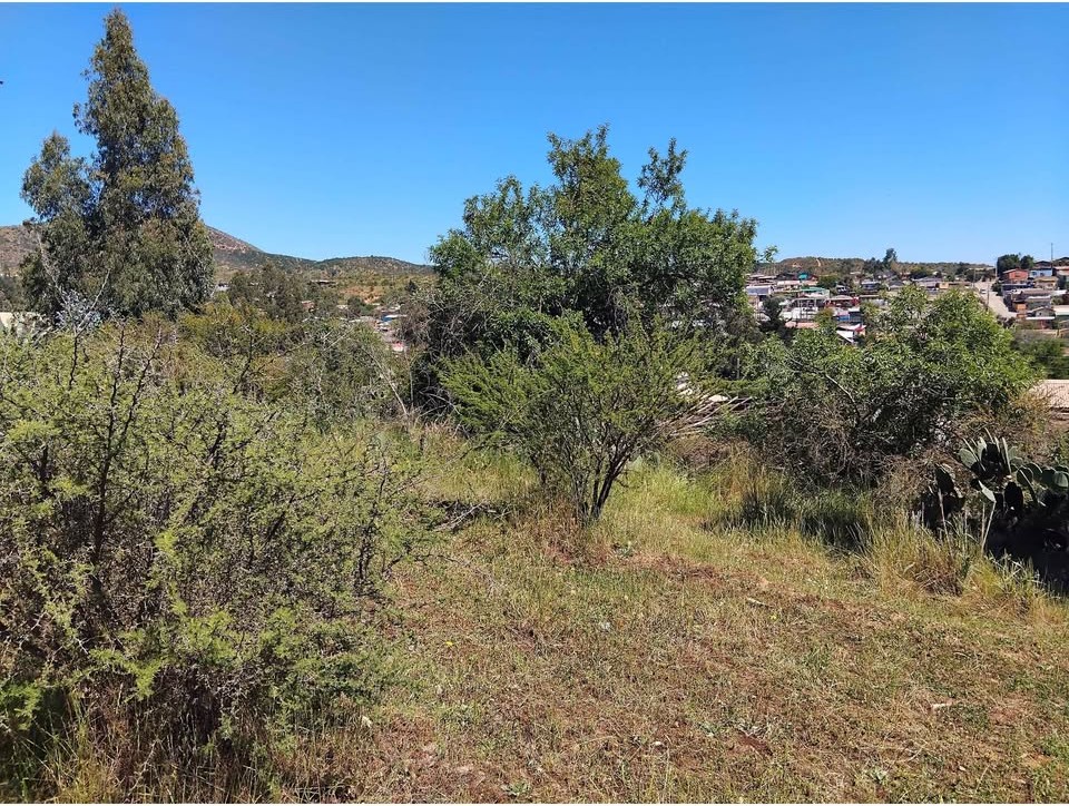 Terreno despejado con cerros al fondo
